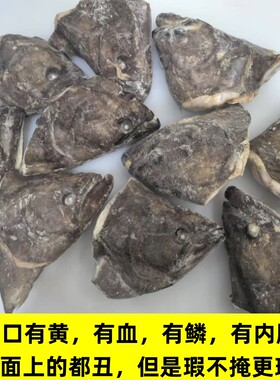 原装格陵兰比目鱼鲽鱼头深海