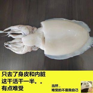 个大肉厚墨斗鱼目鱼冷冻水产 去皮光墨鱼 高蛋白低脂健身