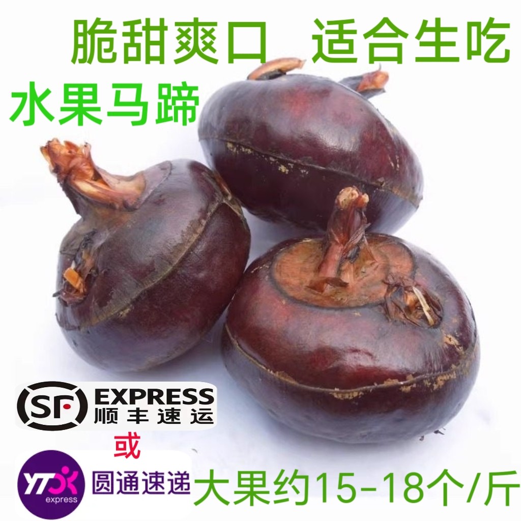 [清甜]广西桂林荔浦 新鲜马蹄荸荠大果2550g地栗现挖农家水果包邮,水产肉类/新鲜蔬果/熟食,荸荠/马蹄,淘宝优惠券,粉丝福利购,淘宝优惠卷