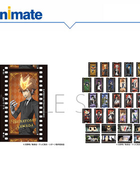 【现货】家庭教师HITMAN REBORN! 动画版 胶片风卡片盒蛋 animate