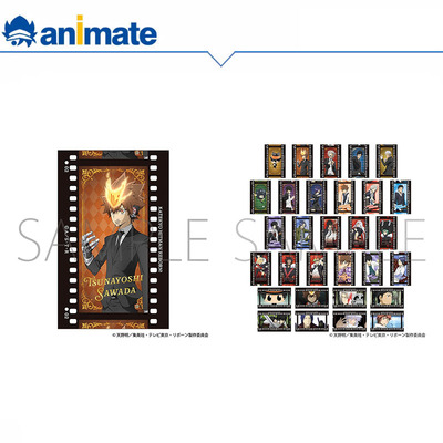 【现货】家庭教师HITMAN REBORN! 动画版 胶片风卡片盒蛋 animate