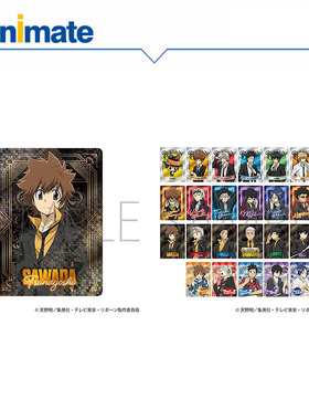 【现货】家庭教师HITMAN REBORN!动画版 卡片盒蛋 animate正版