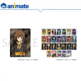 【现货】家庭教师HITMAN REBORN!动画版 卡片盒蛋 animate正版