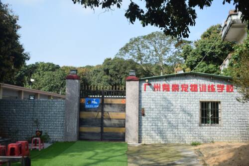 广州宠物训练学校狗狗训犬基地深圳东莞佛山顺德惠州中山 可接送