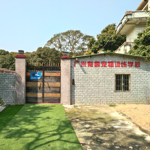 广州宠物训练学校狗狗训犬基地深圳东莞佛山顺德惠州中山 可接送