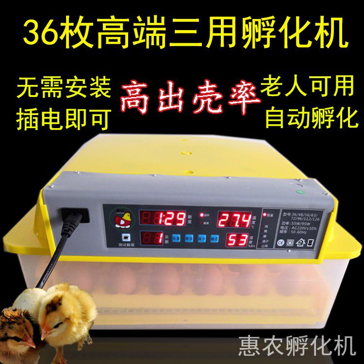 出壳高的孵化机智能小型卵化机