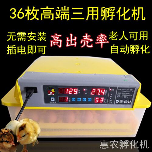 智能孵化机多功能糊化机小卵化箱