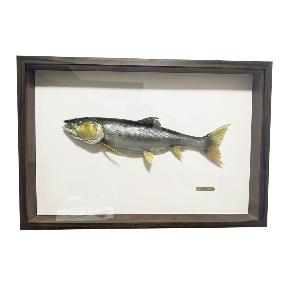 【定制】水老虎鱤鱼模型摆件装饰画立体3D鱼模型画收藏品工艺品图片