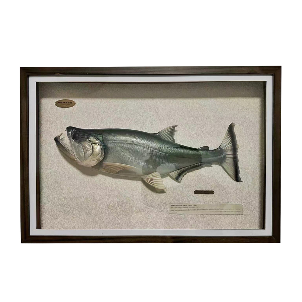 【定制】3D立体装饰画吸血鬼食人鱼/巨暴鱼挂画渔具店路亚工作室图片