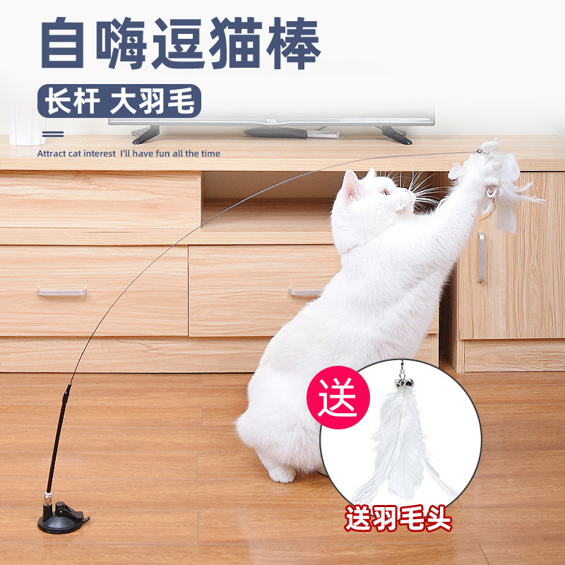 猫玩具自嗨解闷神器猫咪懒人自动逗猫棒羽毛吸盘带铃铛小猫幼猫,宠物/宠物食品及用品,逗猫棒,淘宝优惠券,粉丝福利购,淘宝优惠卷