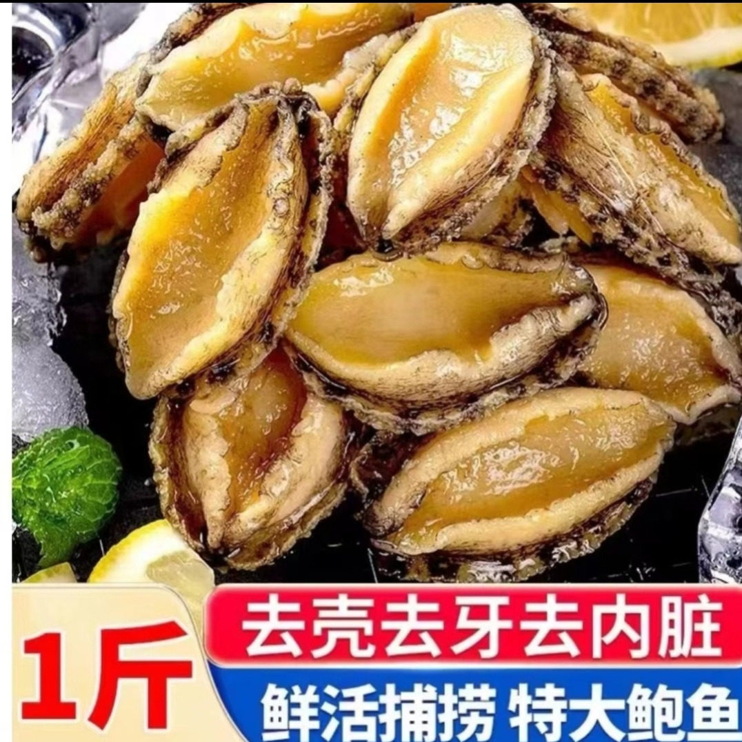 海捕去壳鲍鱼肉鲜活冷冻鲍鱼去壳贝类制品