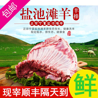 烤羊排手抓羊肉新鲜盐池滩羊羊肉