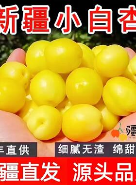 【爆款推荐】新疆小白杏轮台白杏库车新鲜水果甜杏子胜小红杏