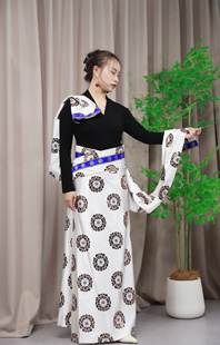 藏式民族风假袍锅庄舞裙定制