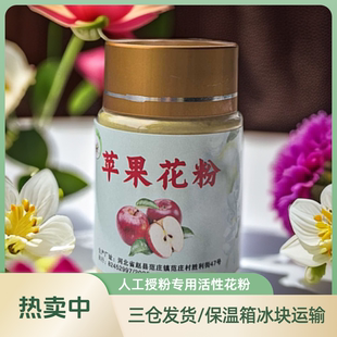 苹果花粉授粉红星富士金冠秦冠嘎啦花牛澳洲青苹乔纳金苹果树花粉