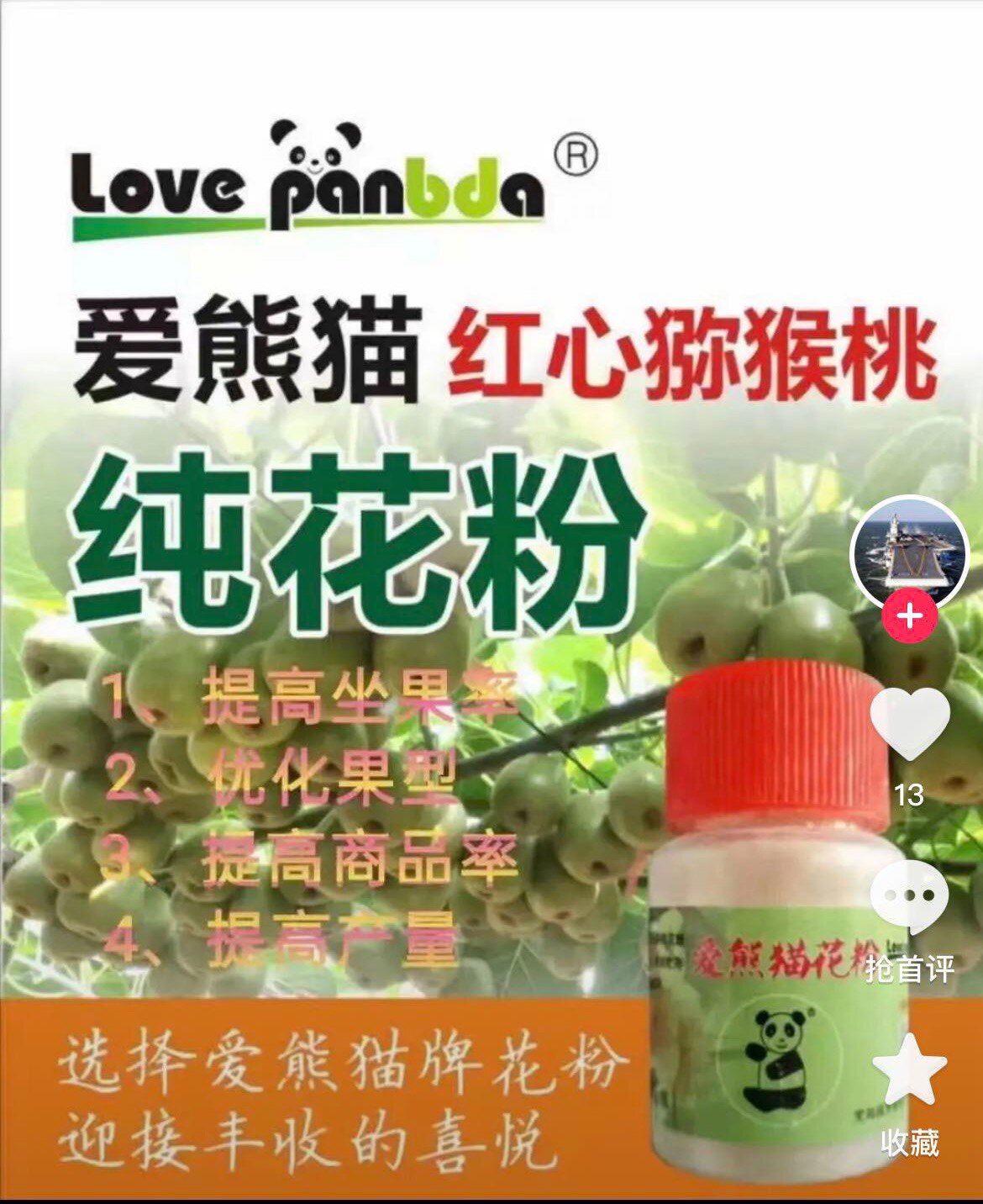 爱熊猫猕猴桃花粉红心软枣绿心徐香金艳黄心雄公树弥猴桃花粉授粉