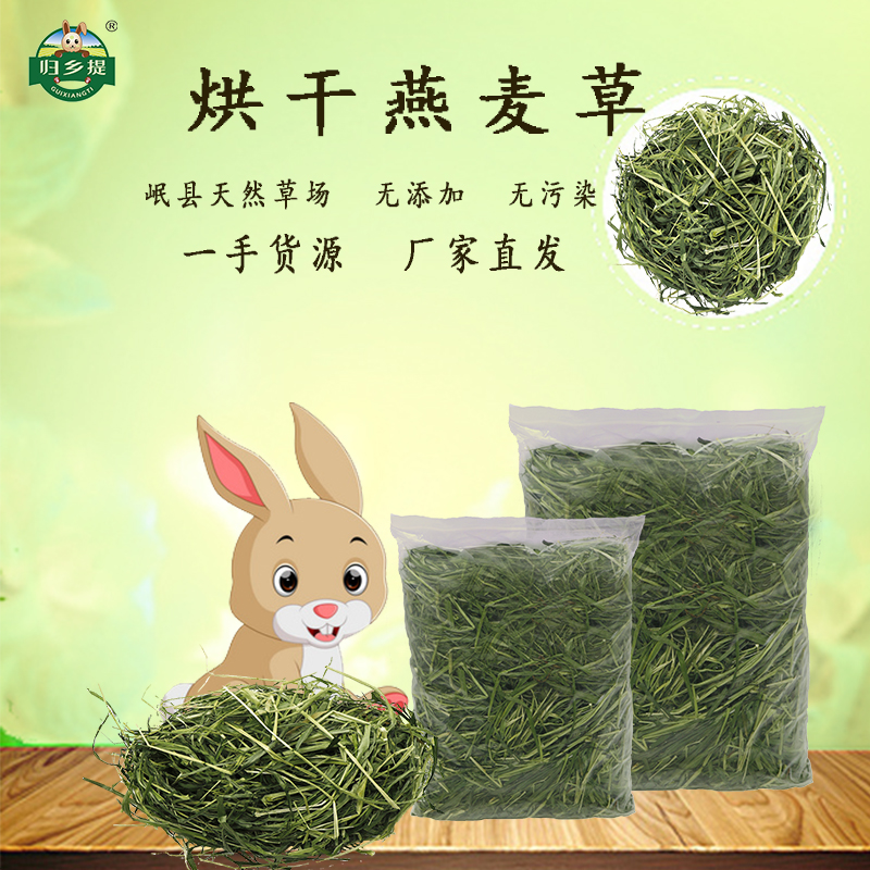 甘肃归乡提半烘干青绿燕牧草500g高原兔子草豚鼠龙猫粮干绿燕麦草-封面