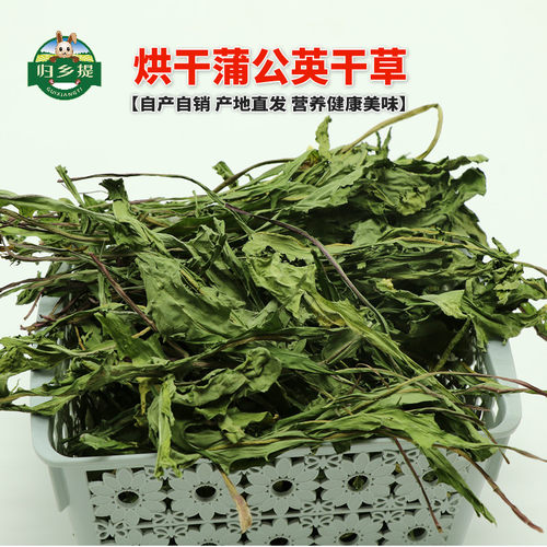 龙猫归乡提干草饲料兔子豚鼠