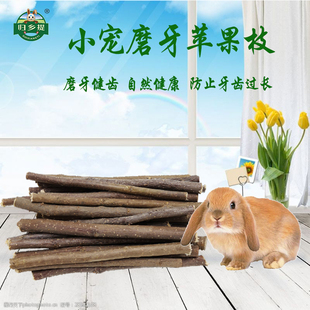 蘋果樹枝250克兔龍貓荷蘭豬豚鼠倉鼠磨牙零食甘肅歸鄉提小寵用品