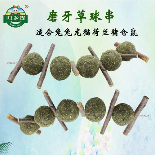 兔子归乡提苜蓿草磨牙咬串草球串