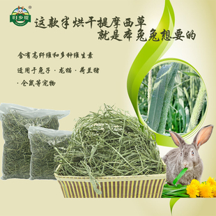 半烘干提摩西草甘肅歸鄉(xiāng)提優(yōu)質(zhì)兔子草20斤豚鼠兔糧干草牧草提草