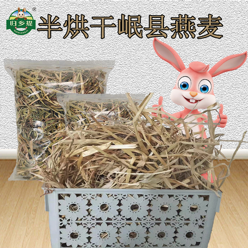 燕麦草龙猫兔子牧草归乡提燕麦草