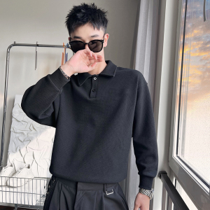 WY96 P68-控98 23秋款新款卫衣男小伙风翻领休闲纯色套头长袖卫衣图片