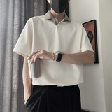 杏白