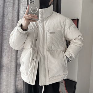 Y100-P198-控268 聚酯纤维贴标 正方大格衣身 50绒立领羽绒服图片