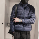 Y115-P128控178-M-3XL-聚酯纤维50绒（50-100）格立领羽绒服，男装羽绒服，电商A216