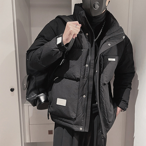 Y100-P198-控268 聚酯纤维贴标 正方大格衣身 50绒立领羽绒服图片