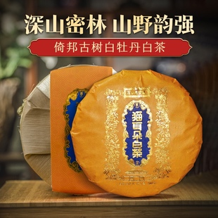 猫耳朵白茶 2025年头春 倚邦古树贡茶白牡丹白茶饼 野香蜜甜