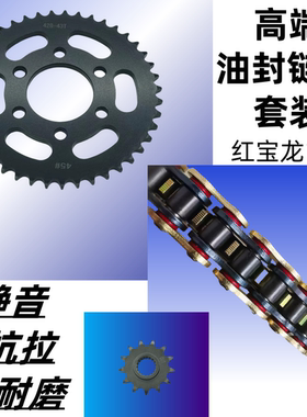 适用红宝龙BJ150-29B-29A贝纳利TNT150i链盘链轮套链牙盘油封链条