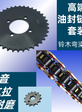 适用铃木赛驰QS110-A/2赛胜FW110畅迪GD110链盘套链牙盘油封链条