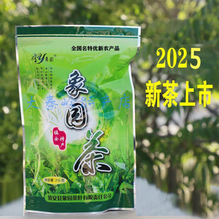 镇安象园茶 2025新茶春茶炒青 商南茶 陕南绿茶 镇安茶250g