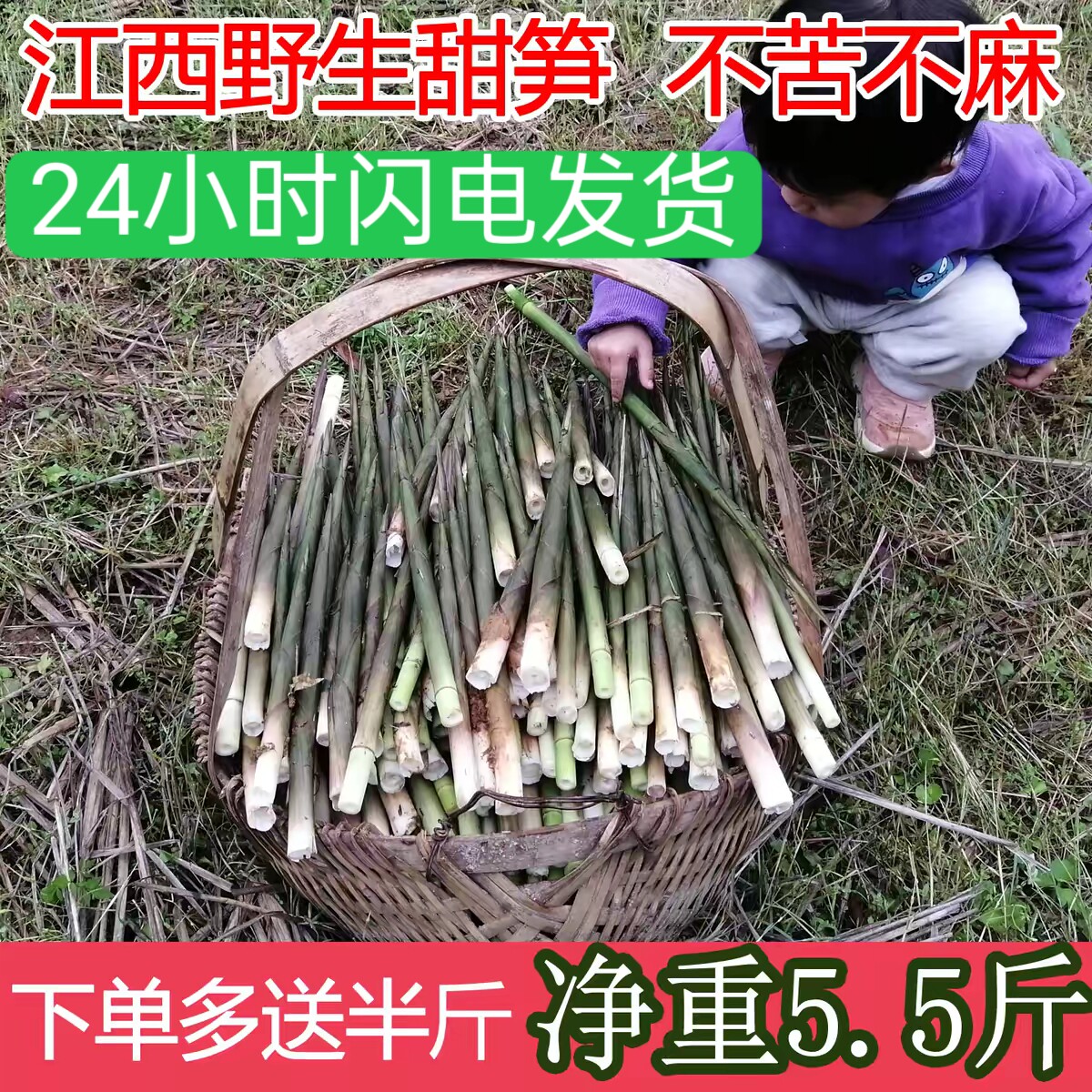 野生新鲜小竹笋带壳甜笋现挖江西深山春笋嫩笋尖应季水竹笋非雷笋