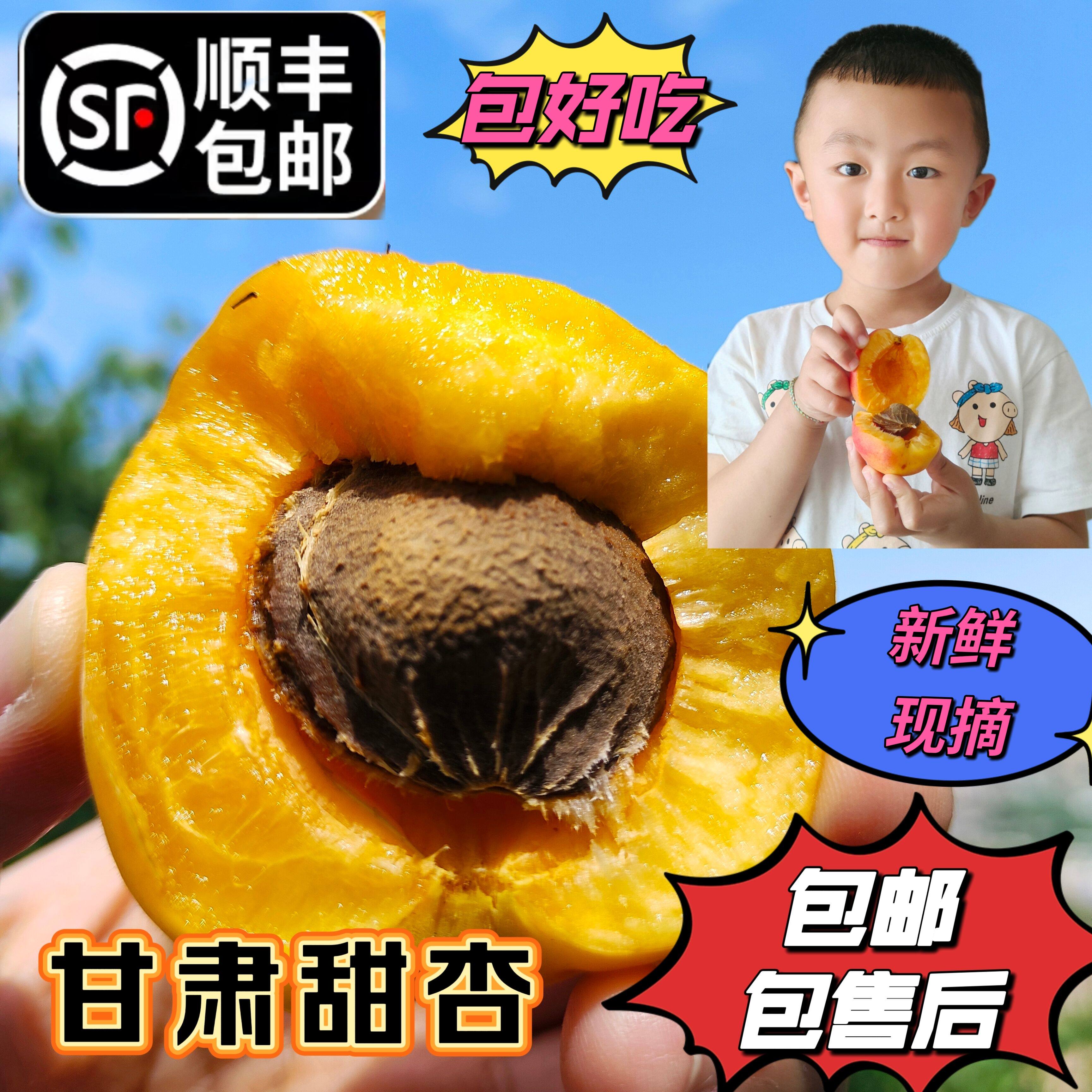 顺丰包邮甘肃甜杏新鲜现摘红杏贵妃杏当季水果甜脆杏子粉糯香甜