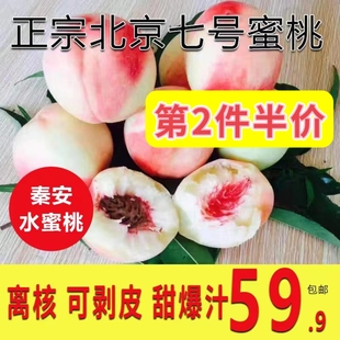正宗秦安北京七号水蜜桃新鲜水果天水特产甜爆汁包邮可剥皮离核
