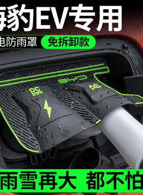 适用比亚迪海豹05D 06EV 07DMI专用充电枪防雨罩电防护罩隐藏式挡