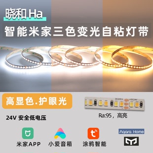 全光谱高显指高可靠性 智能调光双色温灯带 led灯带 24v低压灯带