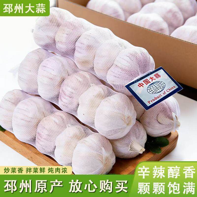 邳州新季干紫皮蒜产地直发