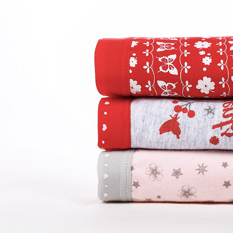 Slip jeunesse HODO DK142 en coton - Ref 666825 Image 5