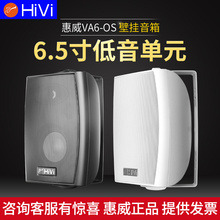 Hivi/惠威 VA6-OS定阻定压壁挂音箱4/5/6/8寸会议室店铺音响喇叭