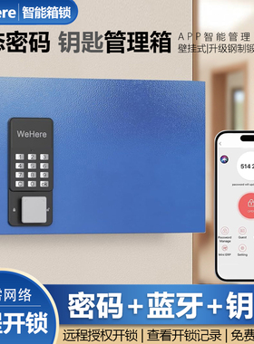 WeHere智能壁挂钥匙箱远程授权开锁蓝牙动态密码汽车公司钥匙管理