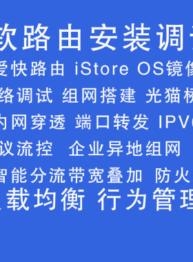 软路由调试维修分流负载均衡