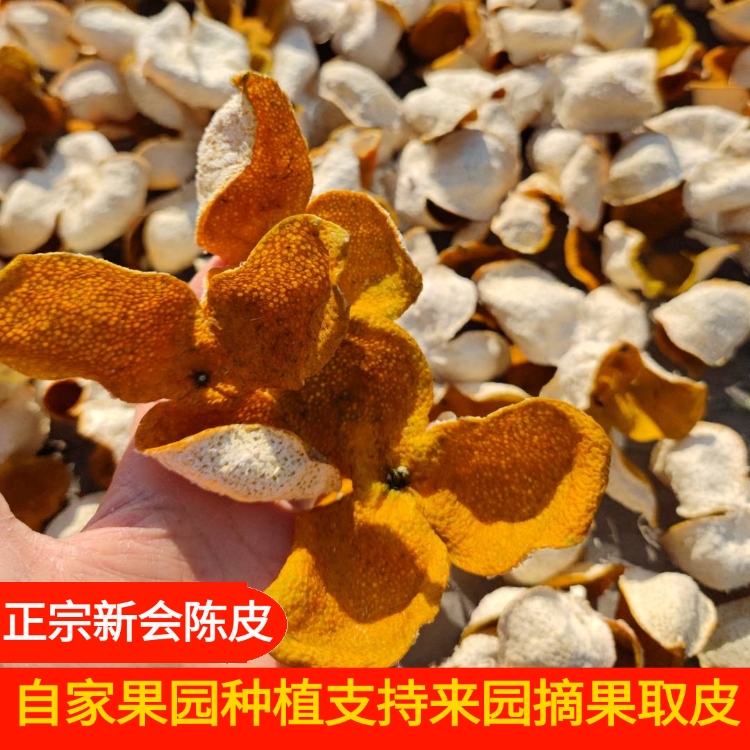 [3斤]新会陈皮新皮2024年老树圈枝生晒大红皮正宗新会特产中药材