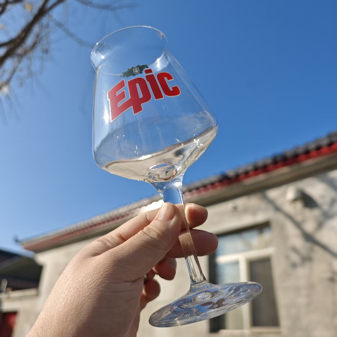 神话EPIC 酒花僵尸王 亲妹 末日 精酿啤酒 正版Rastal 水晶特酷杯