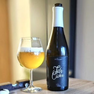 UT4.4尖货！ 副计划 酿酒师 2022 6桶混酿 赛松 农舍艾尔 酸啤酒