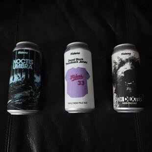 费登斯 夜影 咖啡世涛 艾尔复兴 绝版复古球衣 酒花饱和艾尔 IPA