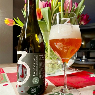 风格排名TOP50 三泉 阿尔芒盖斯顿 老贵兹 精酿 酸啤酒 750ml